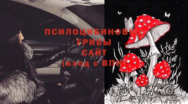 прущие грибы Вязьма