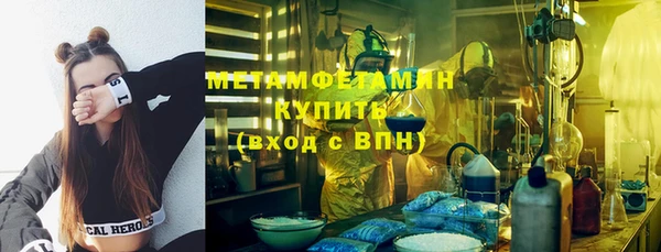 прущие грибы Вязьма