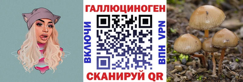 Псилоцибиновые грибы мицелий  купить наркотик  Батайск 