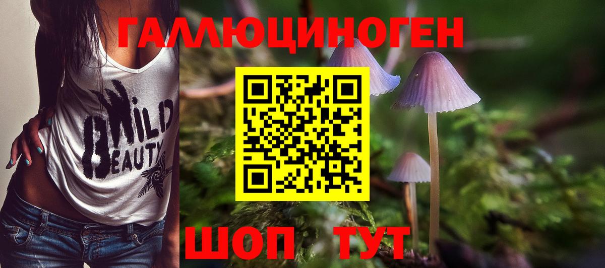 Псилоцибиновые грибы мицелий Батайск
