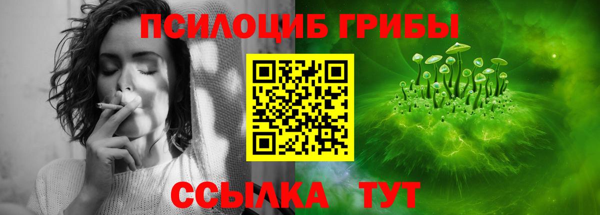 где купить наркоту  Псилоцибиновые грибы Psilocybe  Вход с VPN  Батайск 